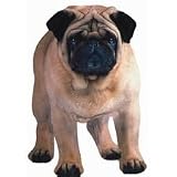 XL Pug Magnet Paper House Production