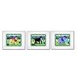 Olive Kids - Wild Animals Set of 3 Prints (white)