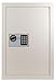 LockState LS-52EN Large Digital Wall Safe