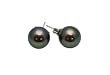 AAA 8.5-9mm Black Freshwater Pearl Earrings