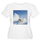 Artsmith, Inc. Women's Plus Scoop T-Shirt Harp Seal