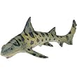Safari: Leopard Shark