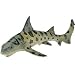 Safari: Leopard Shark