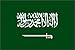 Saudi Arabia Flag 3ft x 5ft Printed Polyester by Flags Unlimited