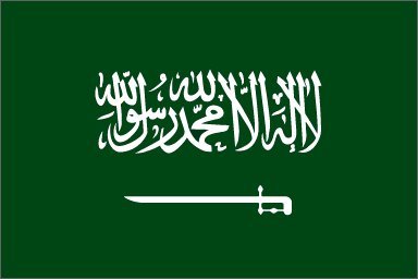 Saudi Arabia Flag 3ft x 5ft Printed Polyester by Flags Unlimited
