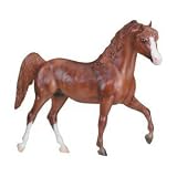 Jingles of Pegasus Therapeutic Riding, Inc.&nbsp;