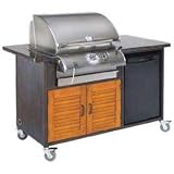 Rock N Roll Finished Island with Danby Refrigerator for 24 Inch Gas Grill