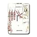 Londons Times Fish Fishing Deep Beneath Cartoons - Crawfish School Basics Do Not Kiss Cajuns - Light Switch Covers - single toggle switch