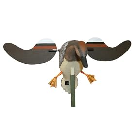 Mojo Outdoors Gadwall Decoy by
