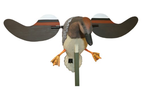 Mojo outdoors gadwall decoy