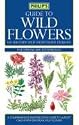 Philip's Guide to Wild Flowers of Britain and Northern Europe