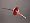 Budget complete practice fencing foil with french grip