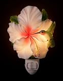 Hummingbird and Hibiscus Night Light