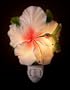 Hummingbird & Hibiscus Nightlight