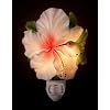 Hummingbird & Hibiscus Nightlight