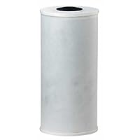 Pentek 155141, RFC-BB Radial-Flow Granular Activated Carbon Cartridge, 25 Micron
