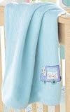 Aqua fleece cot blanket