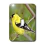 Birds - American Gold Finch - Light Switch Covers - single toggle switch