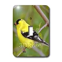 Birds - American Gold Finch - Light Switch Covers - single toggle switch