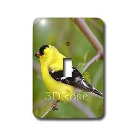 Birds - American Gold Finch - Light Switch Covers - single toggle switch