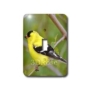 Birds - American Gold Finch - Light Switch Covers - single toggle switch by 