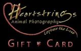 $500 Gift Card
