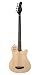 Godin A4 Two-Chambered Electro-Acoustic Bass Guitar (Natural)