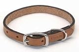 Coastal Pet Products Oak Tanned Tan Leather Town Collar for Dogs - B0002DI5ZC