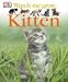 Kitten