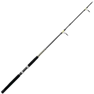 Ugly Stik Big Water Surf Spinning Rod by