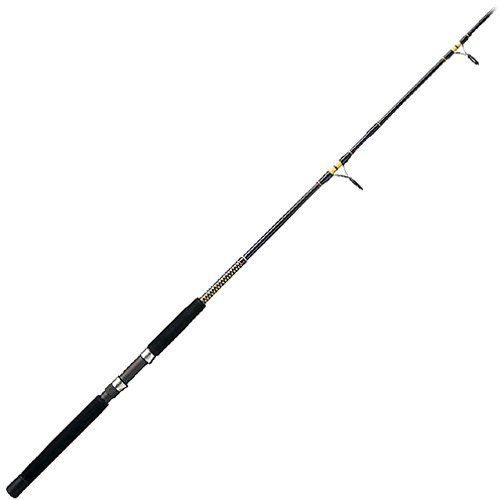 Shakespeare Ugly Stik Big Water Surf Spinning 