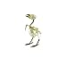 Real Taxidermy Bird Skeleton | Eurasian Tree Sparrow (Passer montanus) Specimen 3