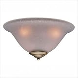 31VvrrsO9nL. SL160  Elegance Frost Seeded Ceiling Fan Light Kit