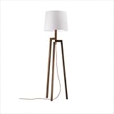 IMAGE OF Stilt Floor Lamp