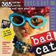 365 Bad Cat Page-A-Day Calendar 2008