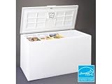 Chest Freezer : White