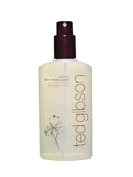 Ted Gibson Build It Blow Drying Agent, 8-Ounces