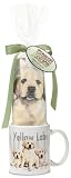Buy Yellow Lab Labrador Puppies Cup/Mug Kitchen Towel Gift Set