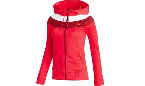 PUMA Damen Trackjacke Lifestyle Colorblock Hooded, bittersweet, L, 558324 23 Preisvergleich