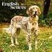 English Setters 2010 Wall Calendar