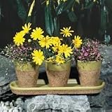 Ceramic Planter Set with Tray, 4 Pc