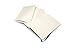 Moleskine 2015 Weekly Planner, Horizontal, 12 Month, Large, Oxide Green, Hard Cover (5 x 8.25)