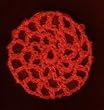 Poppy Red Hair Net Crocheted Hair Bun Cover- MINI