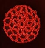 Poppy Red Hair Net Crocheted Hair Bun Cover- MINI