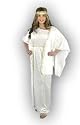 Women X-Large (14-16) Greek Goddess Costume in Crushed Panne Velvet