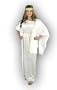 Women Large (11-13) Greek Goddess Costume in Crushed Panne Velvet