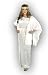 Original Plus Size Greek Goddess Athena Costume