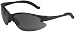 Tools & Hardware : AO Safety 11683 Virtua V6 Anti-Fog Safety Glasses, Black Frame, Gray Lens