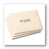 Avery Ink-Jet Printer Clear Address Labels 1  X 2 5/8  10-Pack