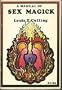 A manual of sex magick (A Llewellyn occult guide)
